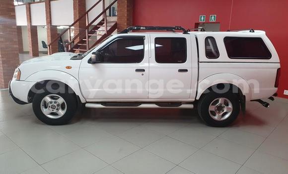 Buy Used Nissan NP 300 White Car in Windhoek in Namibia Buy Used Nissan NP 300 White Car in Windhoek in Namibia