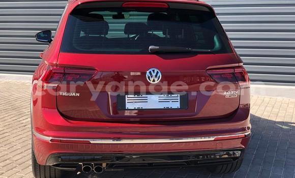 Buy Used Volkswagen Tiguan Red Car in Windhoek in Namibia Buy Used Volkswagen Tiguan Red Car in Windhoek in Namibia