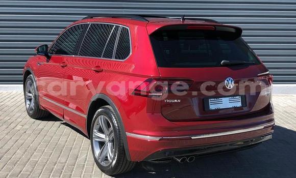 Buy Used Volkswagen Tiguan Red Car in Windhoek in Namibia Buy Used Volkswagen Tiguan Red Car in Windhoek in Namibia