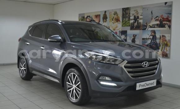 Buy Used Hyundai Tucson Other Car in Windhoek in Namibia Buy Used Hyundai Tucson Other Car in Windhoek in Namibia