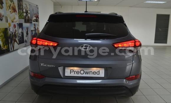 Buy Used Hyundai Tucson Other Car in Windhoek in Namibia Buy Used Hyundai Tucson Other Car in Windhoek in Namibia