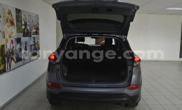 Buy Used Hyundai Tucson Other Car in Windhoek in Namibia Buy Used Hyundai Tucson Other Car in Windhoek in Namibia