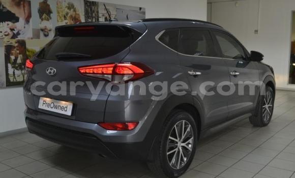Buy Used Hyundai Tucson Other Car in Windhoek in Namibia Buy Used Hyundai Tucson Other Car in Windhoek in Namibia