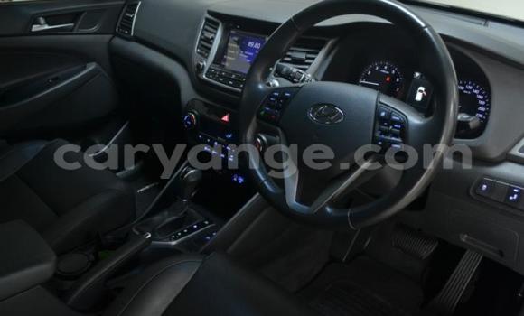 Buy Used Hyundai Tucson Other Car in Windhoek in Namibia Buy Used Hyundai Tucson Other Car in Windhoek in Namibia