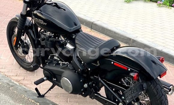 Buy Used Harley Davidson Street Black Bike in Walvis Bay in Namibia