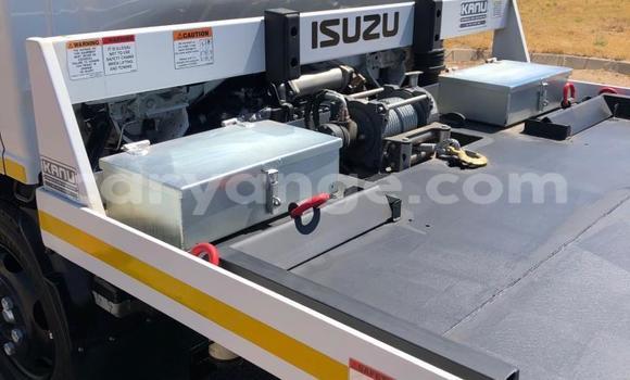 Buy Used Isuzu FTR 850 White Truck in Windhoek in Namibia Buy Used Isuzu FTR 850 White Truck in Windhoek in Namibia