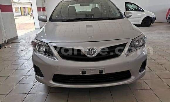 Buy Used Toyota Corolla Silver Car in Windhoek in Namibia Buy Used Toyota Corolla Silver Car in Windhoek in Namibia