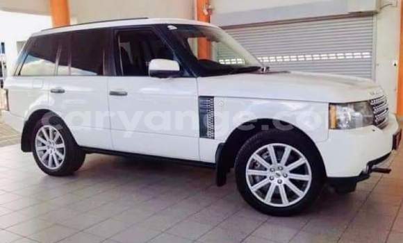 Buy Used Range Rover Range Rover White Car in Windhoek in Namibia
