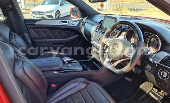 Buy Used Mercedes-Benz AMG GLE Red Car in Windhoek in Namibia Buy Used Mercedes-Benz AMG GLE Red Car in Windhoek in Namibia