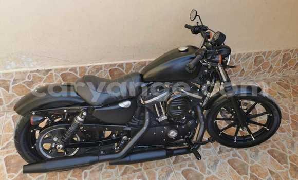 Acheter Occasion Moto Harley Davidson IRON Noir à Windhoek, Namibie