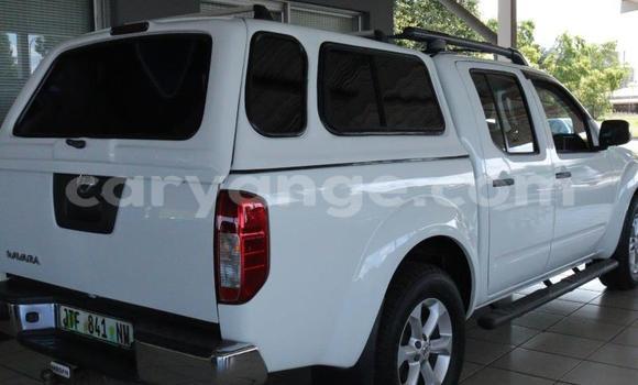 Buy Used Nissan Navara White Car in Windhoek in Namibia Buy Used Nissan Navara White Car in Windhoek in Namibia