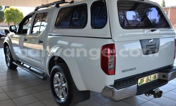 Buy Used Nissan Navara White Car in Windhoek in Namibia Buy Used Nissan Navara White Car in Windhoek in Namibia