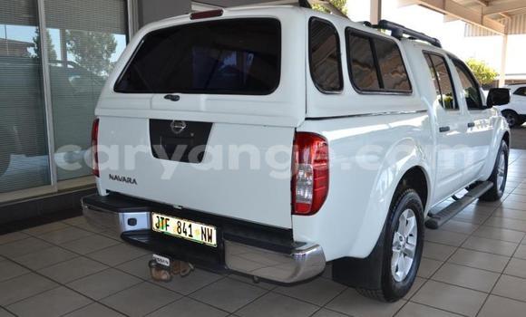 Buy Used Nissan Navara White Car in Windhoek in Namibia Buy Used Nissan Navara White Car in Windhoek in Namibia