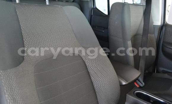 Buy Used Nissan Navara White Car in Windhoek in Namibia Buy Used Nissan Navara White Car in Windhoek in Namibia