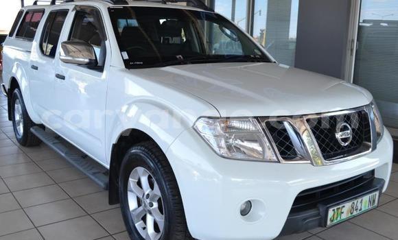 Buy Used Nissan Navara White Car in Windhoek in Namibia Buy Used Nissan Navara White Car in Windhoek in Namibia