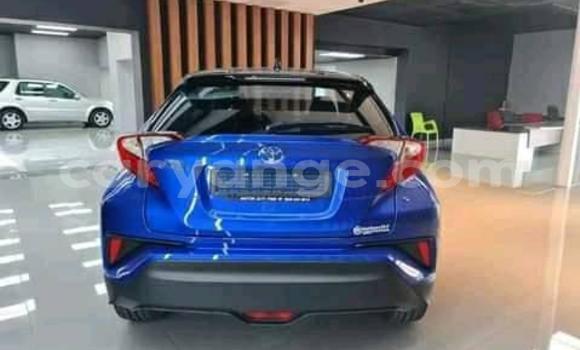 Acheter Occasion Voiture Toyota RAV4 Bleu à Windhoek, Namibie Acheter Occasion Voiture Toyota RAV4 Bleu à Windhoek, Namibie
