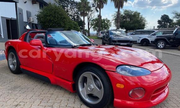 Buy Used Dodge Viper Red Car in Windhoek in Namibia Buy Used Dodge Viper Red Car in Windhoek in Namibia
