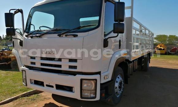 Buy Used Isuzu FTR 850 White Truck in Karasburg in Karas Buy Used Isuzu FTR 850 White Truck in Karasburg in Karas