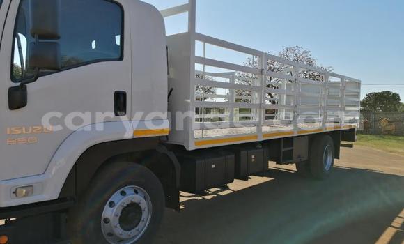 Buy Used Isuzu FTR 850 White Truck in Karasburg in Karas Buy Used Isuzu FTR 850 White Truck in Karasburg in Karas