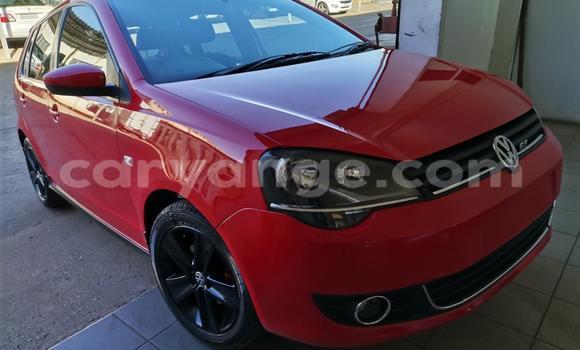 Buy Used Volkswagen Polo GTI Red Car in Windhoek in Namibia