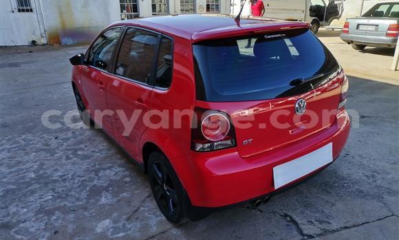 Buy Used Volkswagen Polo GTI Red Car in Windhoek in Namibia Buy Used Volkswagen Polo GTI Red Car in Windhoek in Namibia