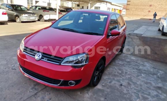 Buy Used Volkswagen Polo GTI Red Car in Windhoek in Namibia Buy Used Volkswagen Polo GTI Red Car in Windhoek in Namibia