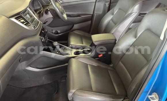Buy Used Hyundai Tucson Blue Car in Gobabis in Omaheke Buy Used Hyundai Tucson Blue Car in Gobabis in Omaheke
