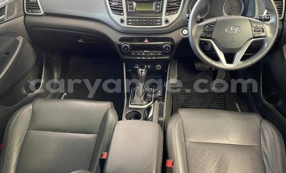 Buy Used Hyundai Tucson Blue Car in Gobabis in Omaheke Buy Used Hyundai Tucson Blue Car in Gobabis in Omaheke