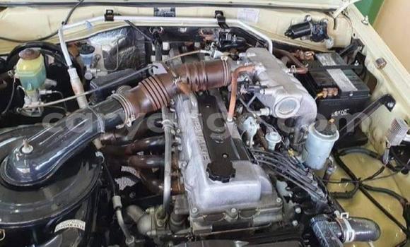 Buy Used Toyota Land Cruiser Other Car in Windhoek in Namibia Buy Used Toyota Land Cruiser Other Car in Windhoek in Namibia