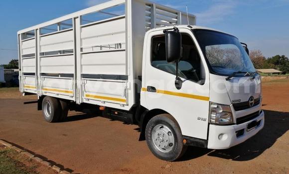 Buy Used Hino 300 Series White Truck in Windhoek in Namibia Buy Used Hino 300 Series White Truck in Windhoek in Namibia