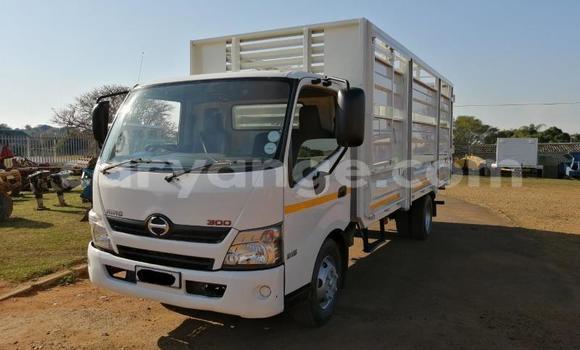 Buy Used Hino 300 Series White Truck in Windhoek in Namibia Buy Used Hino 300 Series White Truck in Windhoek in Namibia