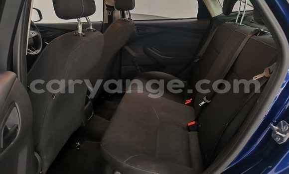 Buy Used Ford Focus Blue Car in Windhoek in Namibia Buy Used Ford Focus Blue Car in Windhoek in Namibia