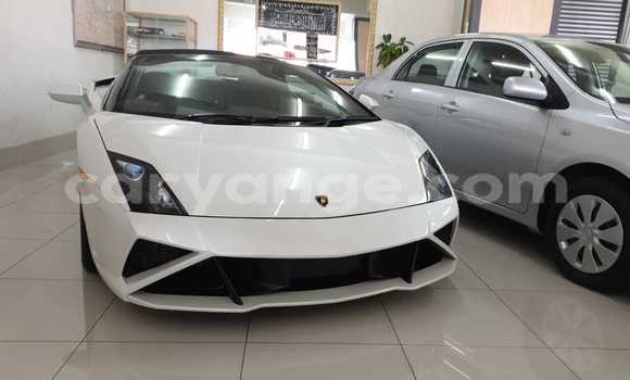 Acheter Occasion Voiture Lamborghini Gallardo Blanc à Windhoek, Namibie Acheter Occasion Voiture Lamborghini Gallardo Blanc à Windhoek, Namibie