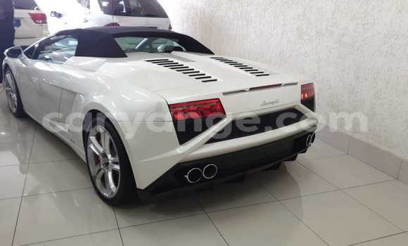 Acheter Occasion Voiture Lamborghini Gallardo Blanc à Windhoek, Namibie Acheter Occasion Voiture Lamborghini Gallardo Blanc à Windhoek, Namibie