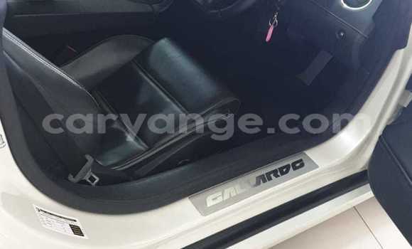 Acheter Occasion Voiture Lamborghini Gallardo Blanc à Windhoek, Namibie Acheter Occasion Voiture Lamborghini Gallardo Blanc à Windhoek, Namibie