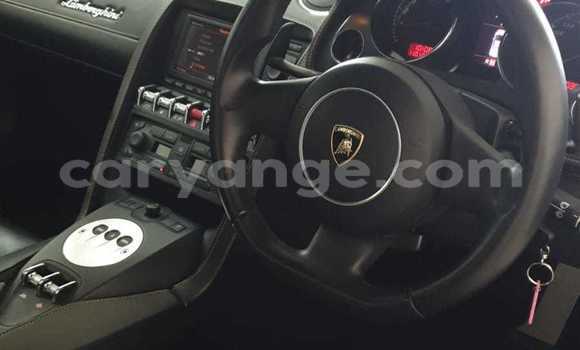 Acheter Occasion Voiture Lamborghini Gallardo Blanc à Windhoek, Namibie Acheter Occasion Voiture Lamborghini Gallardo Blanc à Windhoek, Namibie