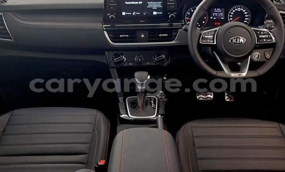 Buy Used Kia Stonic Other Car in Leonardville in Omaheke Buy Used Kia Stonic Other Car in Leonardville in Omaheke