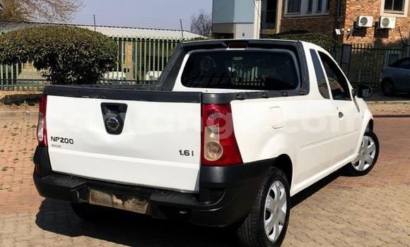 Buy Used Nissan Pickup White Car in Windhoek in Namibia Buy Used Nissan Pickup White Car in Windhoek in Namibia