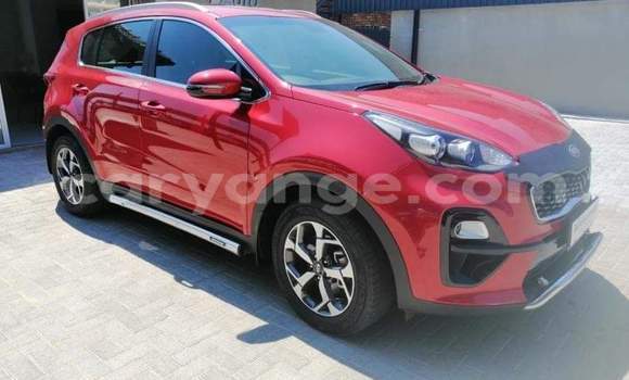 Buy Used Kia Sportage Red Car in Windhoek in Namibia