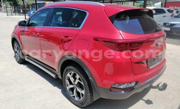 Acheter Occasion Voiture Kia Sportage Rouge à Windhoek, Namibie Acheter Occasion Voiture Kia Sportage Rouge à Windhoek, Namibie