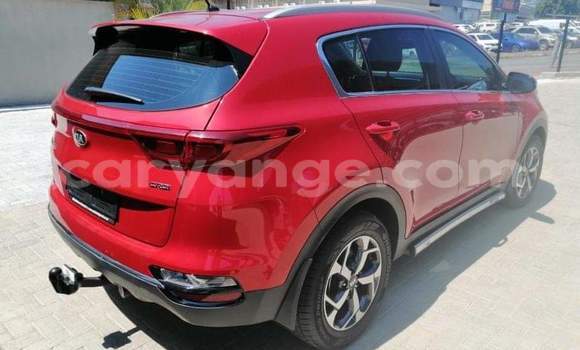 Acheter Occasion Voiture Kia Sportage Rouge à Windhoek, Namibie Acheter Occasion Voiture Kia Sportage Rouge à Windhoek, Namibie