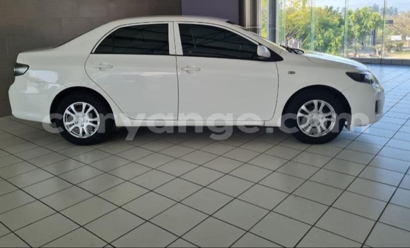 Buy Used Toyota Corolla White Car in Rehoboth in Hardap Buy Used Toyota Corolla White Car in Rehoboth in Hardap