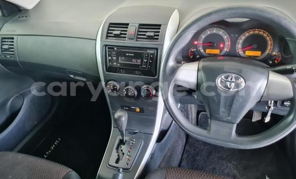 Buy Used Toyota Corolla White Car in Rehoboth in Hardap Buy Used Toyota Corolla White Car in Rehoboth in Hardap