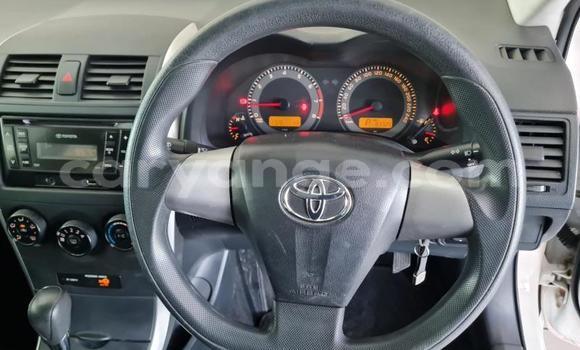 Buy Used Toyota Corolla White Car in Rehoboth in Hardap Buy Used Toyota Corolla White Car in Rehoboth in Hardap