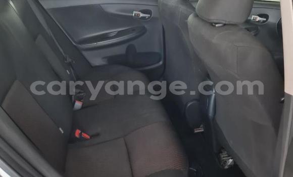 Buy Used Toyota Corolla White Car in Rehoboth in Hardap Buy Used Toyota Corolla White Car in Rehoboth in Hardap