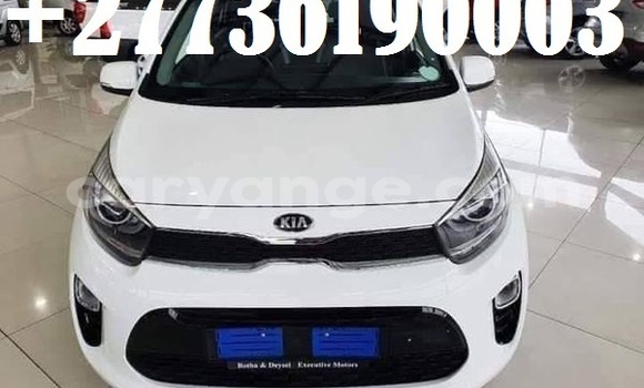 Buy Used Kia Picanto White Car in Windhoek in Namibia