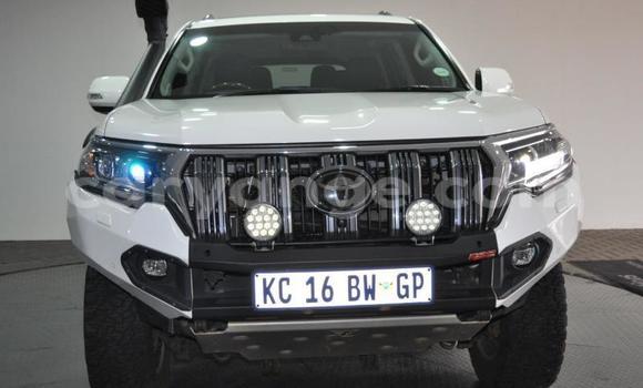 Acheter Occasion Voiture Toyota Land Cruiser Prado Blanc à Windhoek, Namibie