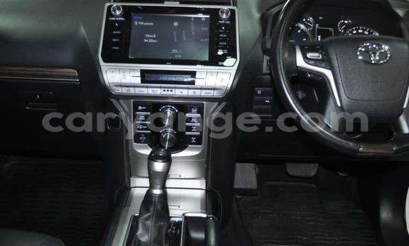 Buy Used Toyota Land Cruiser Prado White Car in Windhoek in Namibia Buy Used Toyota Land Cruiser Prado White Car in Windhoek in Namibia