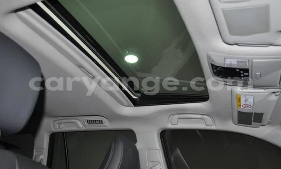 Buy Used Toyota Land Cruiser Prado White Car in Windhoek in Namibia Buy Used Toyota Land Cruiser Prado White Car in Windhoek in Namibia