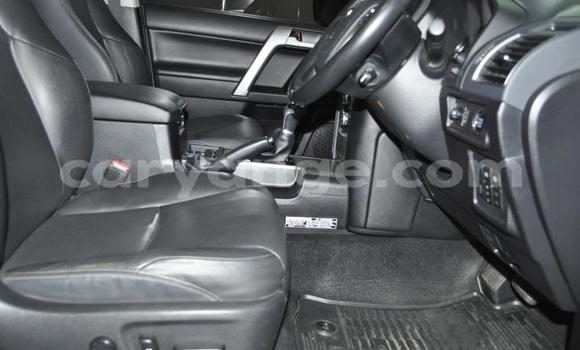 Buy Used Toyota Land Cruiser Prado White Car in Windhoek in Namibia Buy Used Toyota Land Cruiser Prado White Car in Windhoek in Namibia